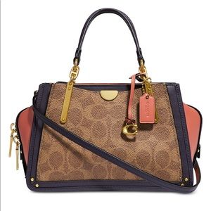 COACH CanvasSignature Colorblock Dreamer21 Satchel